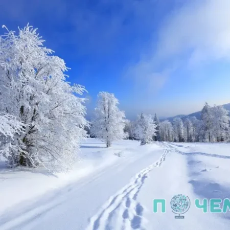 Интересные факты о зиме
