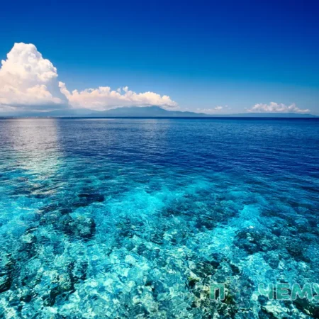 Почему море синее