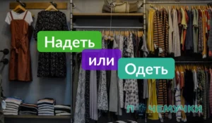 Одеть или надеть