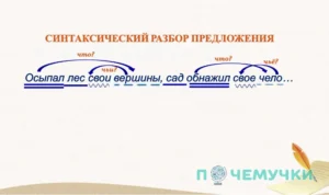 Синтаксический разбор предложения