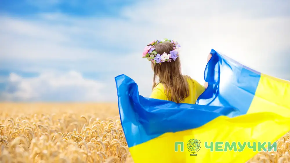 Интересные факты об Украине
