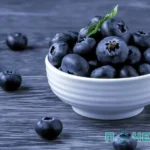 Як посадити лохину