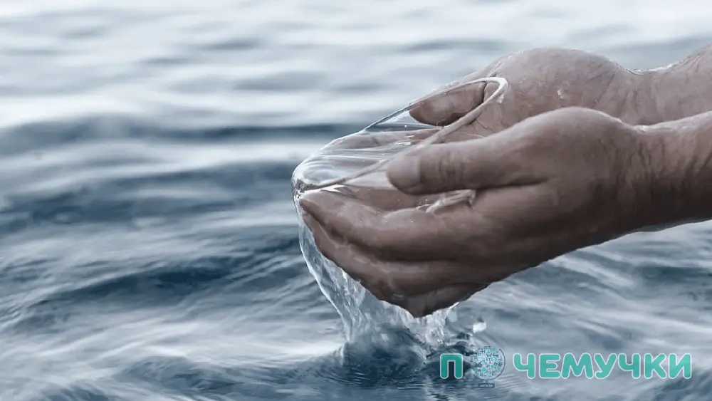 Почему нельзя пить морскую воду